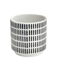 Stripe Pocky Planter - Planter - 5486296416210 - Tumbleweed Plants - Online Plant Delivery Singapore