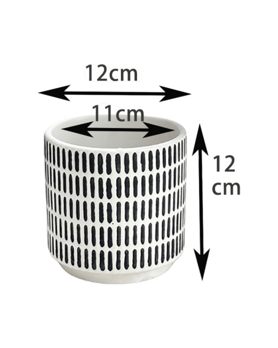 Stripe Pocky Planter - Planter - 5486296416210 - Tumbleweed Plants - Online Plant Delivery Singapore