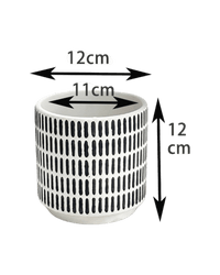 Stripe Pocky Planter - Planter - 5486296416210 - Tumbleweed Plants - Online Plant Delivery Singapore