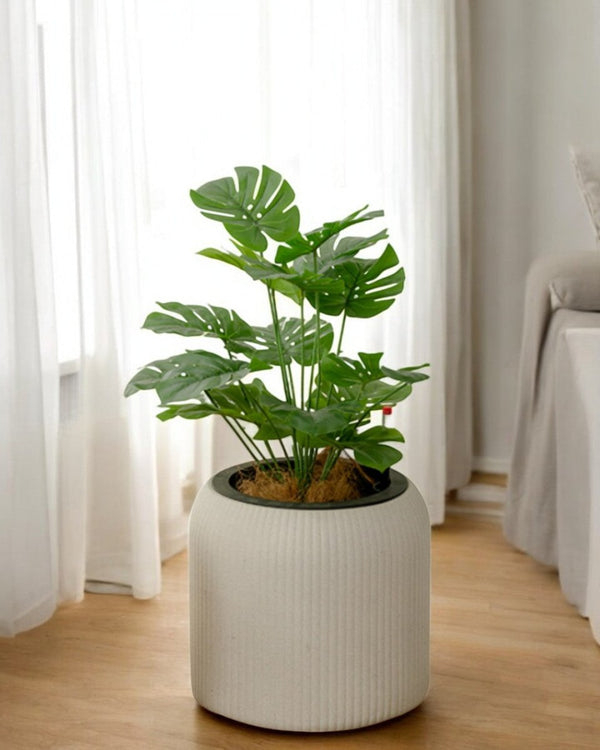 Stripes StoneBlast - HydroEase Pot - Large - Pots - 5708530991949 - Tumbleweed Plants - Online Plant Delivery Singapore