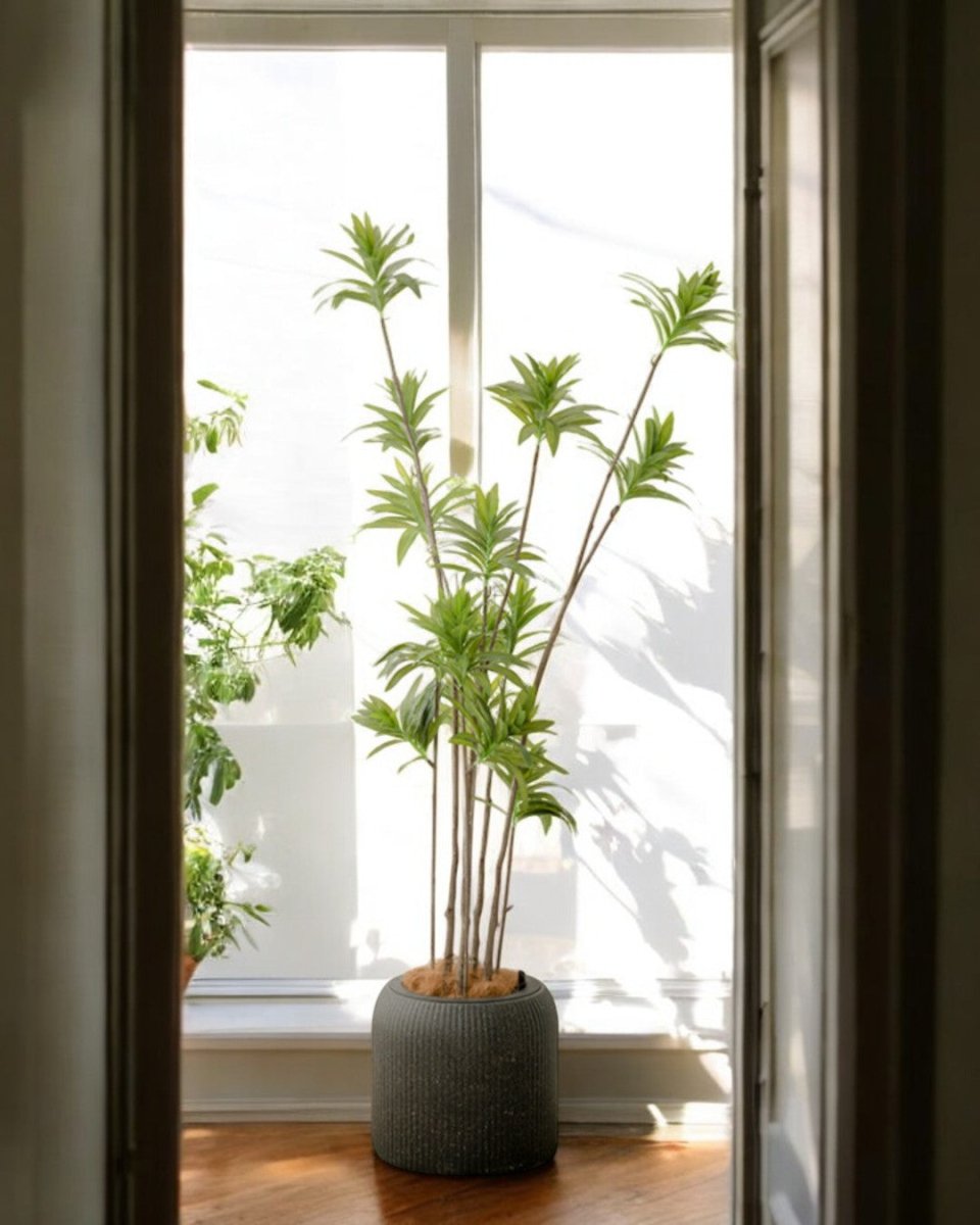 Stripes StoneBlast - HydroEase Pot - Large - Pots - 5708530991949 - Tumbleweed Plants - Online Plant Delivery Singapore