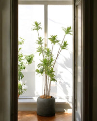 Stripes StoneBlast - HydroEase Pot - Large - Pots - 5708530991949 - Tumbleweed Plants - Online Plant Delivery Singapore