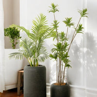 Stripes StoneBlast - HydroEase Pot - Large
