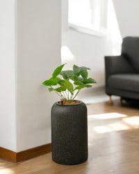 Stripes StoneBlast - HydroEase Pot - Large - Pots - 5708530991949 - Tumbleweed Plants - Online Plant Delivery Singapore