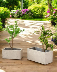TerraBloc Planter Box - Pots - 5505913413628 - Tumbleweed Plants - Online Plant Delivery Singapore