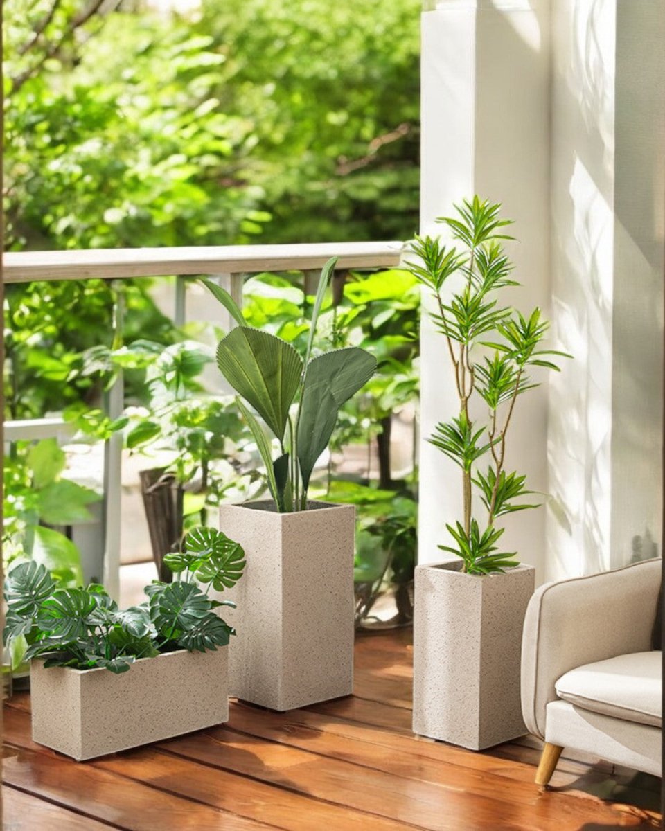 TerraBloc Planter Box - Pots - 5505913413628 - Tumbleweed Plants - Online Plant Delivery Singapore