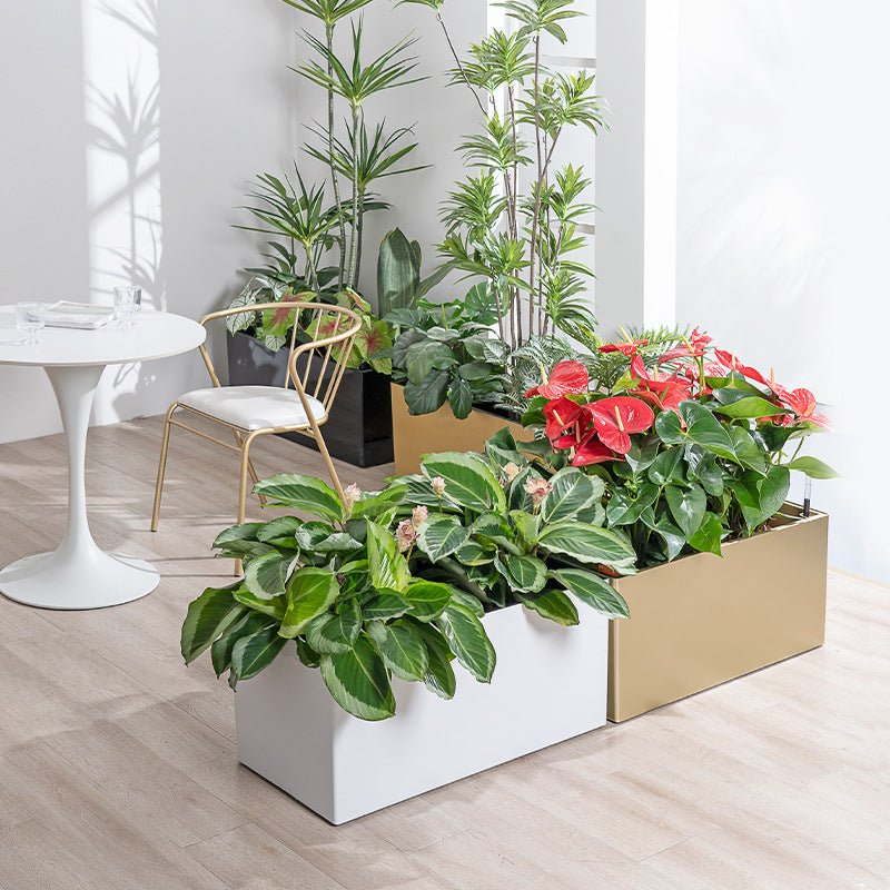 THE BOX - Hydroease Planter Box - Planter - 5968400118962 - Tumbleweed Plants - Online Plant Delivery Singapore