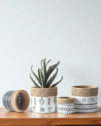 Tribal Planters - Medium - Planter - 4850522864444 - Tumbleweed Plants - Online Plant Delivery Singapore