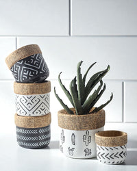 Tribal Planters - Medium - Planter - 4850522864444 - Tumbleweed Plants - Online Plant Delivery Singapore