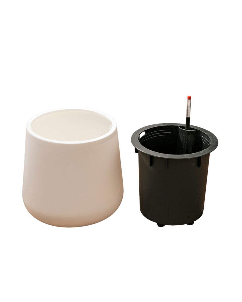 Tulip Pot - HydroEase Planter - XL - Pots - 5507179584566 - Tumbleweed Plants - Online Plant Delivery Singapore
