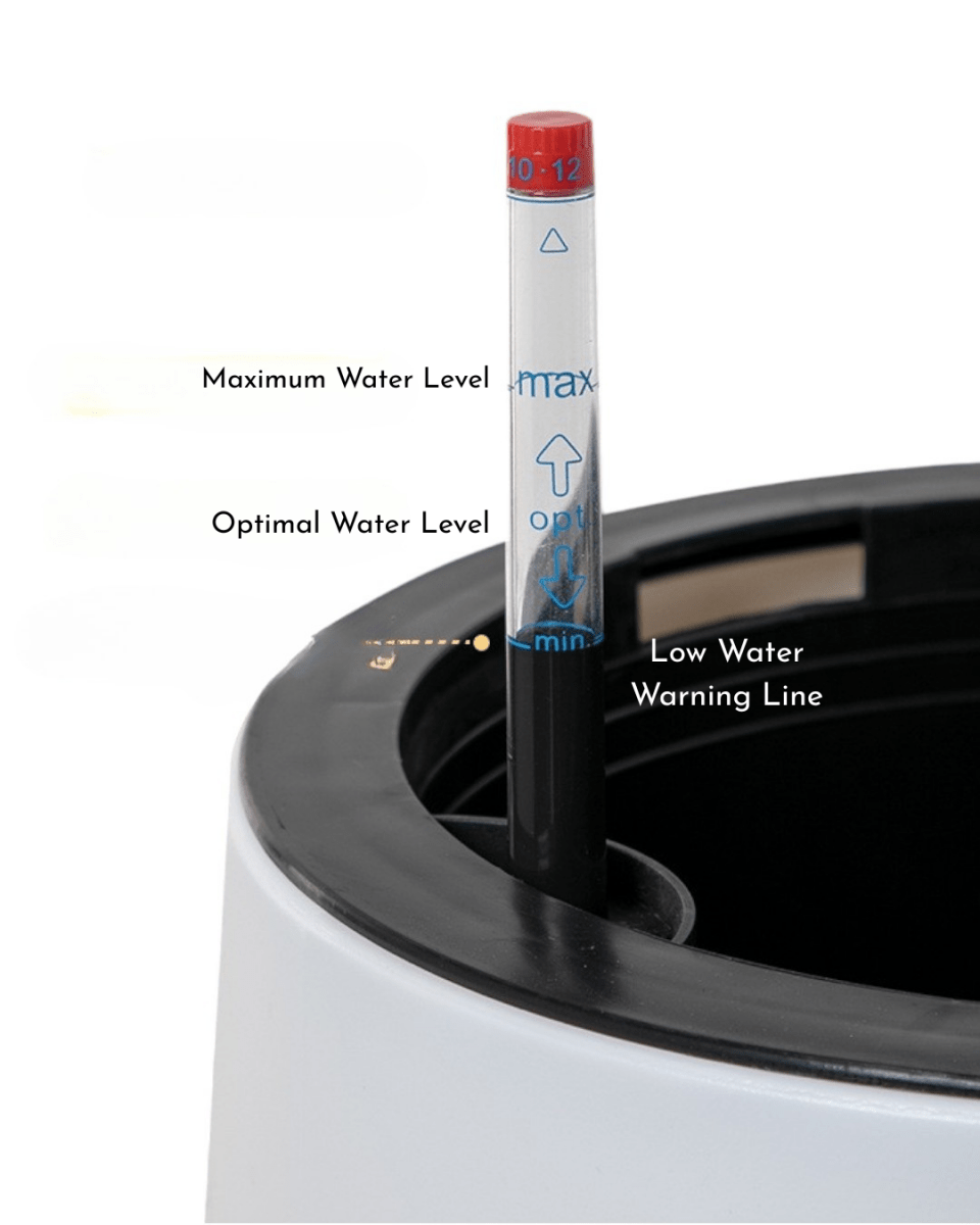 Tulip Pot - HydroEase Planter - XL - Pots - 5507179584566 - Tumbleweed Plants - Online Plant Delivery Singapore