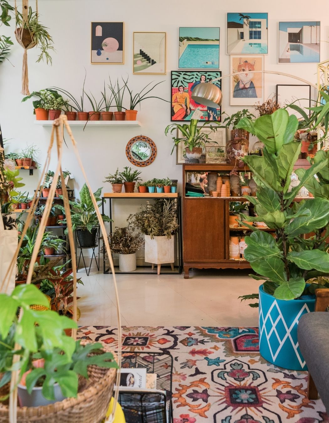 A corner of the store filled with plants
