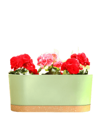 Verdant Rectangle Planter - Planter - 5280961920711 - Tumbleweed Plants - Online Plant Delivery Singapore