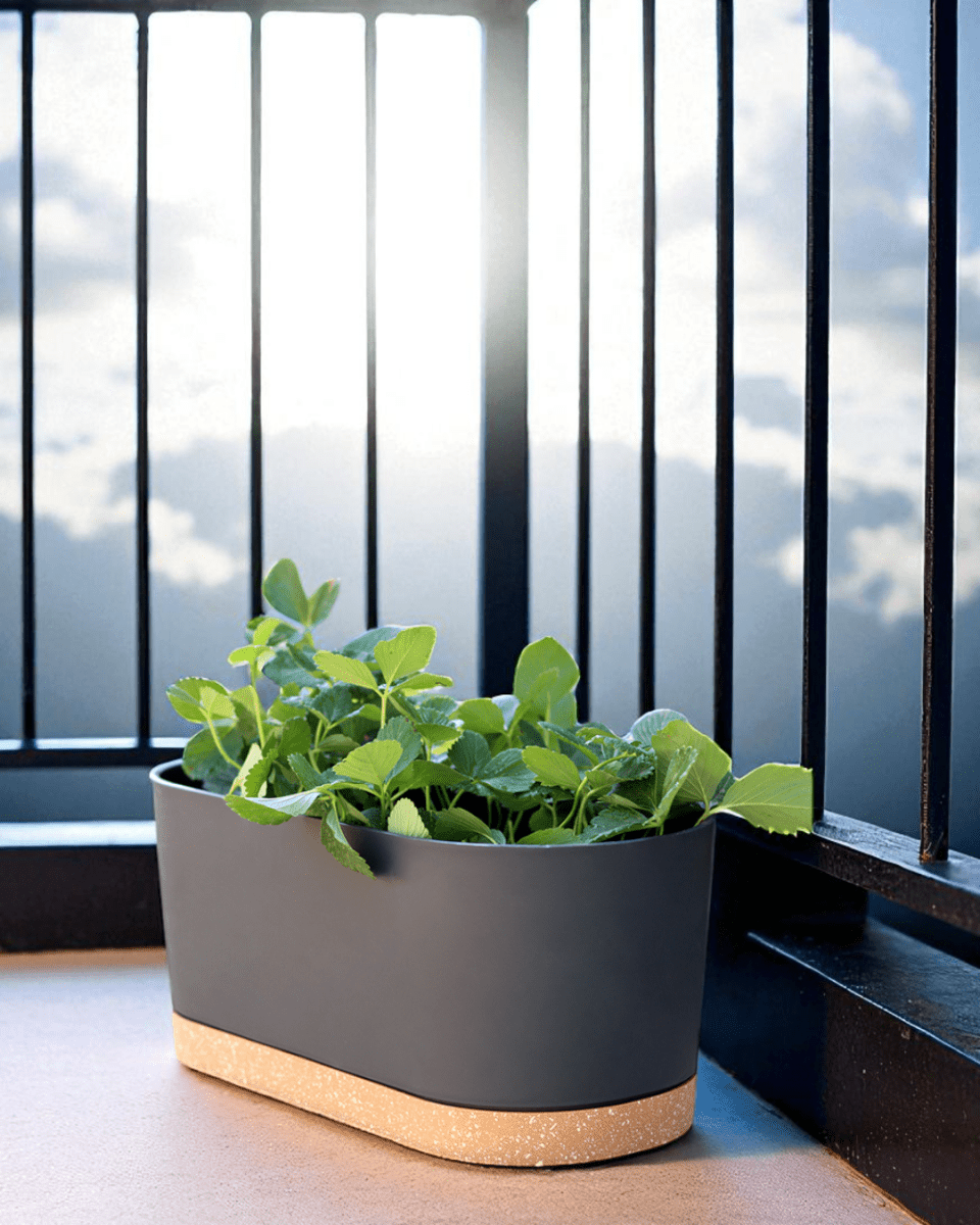 Verdant Rectangle Planter - Planter - 5280961920711 - Tumbleweed Plants - Online Plant Delivery Singapore