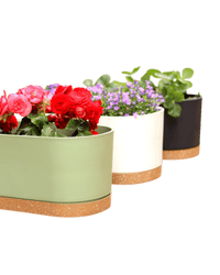 Verdant Rectangle Planter - Planter - 5280961920711 - Tumbleweed Plants - Online Plant Delivery Singapore