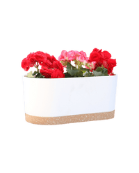 Verdant Rectangle Planter - Planter - 5280961920712 - Tumbleweed Plants - Online Plant Delivery Singapore