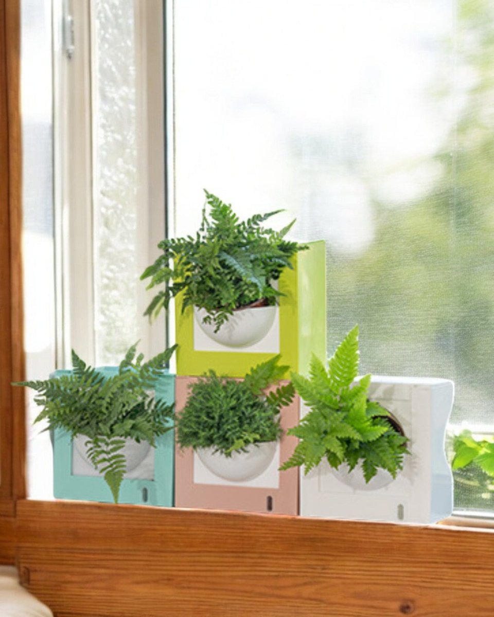 VertiGrow Pots - HydroEase - Pots - POTS - SELF - BL - 6881 - Tumbleweed Plants - Online Plant Delivery Singapore