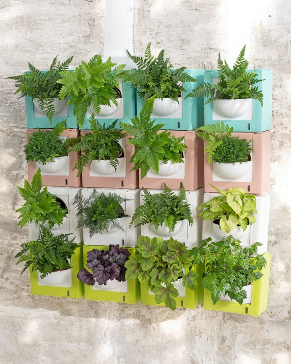 VertiGrow Pots - HydroEase - Pots - POTS - SELF - BL - 6881 - Tumbleweed Plants - Online Plant Delivery Singapore