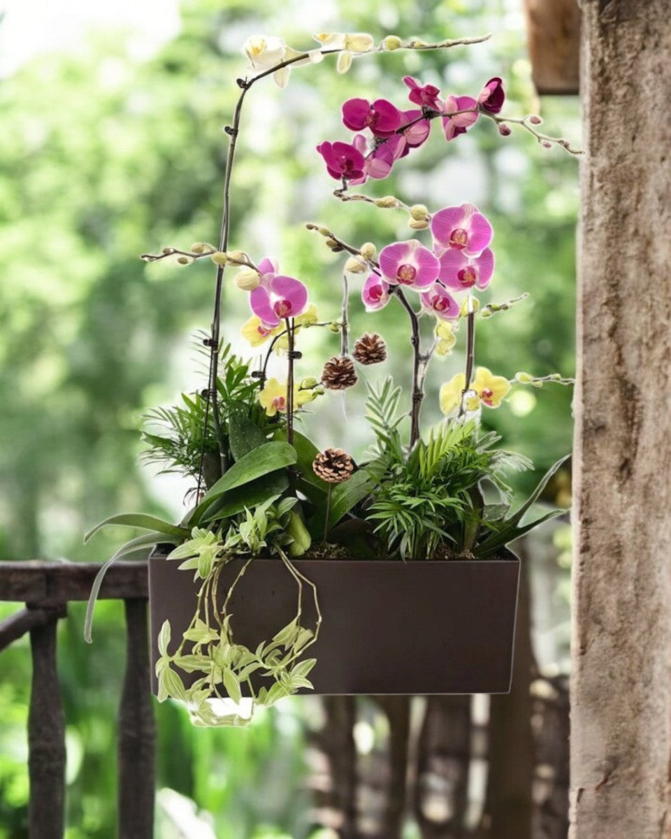 Viva HydroEase Planter Box - Pots - 4332965747708 - Tumbleweed Plants - Online Plant Delivery Singapore