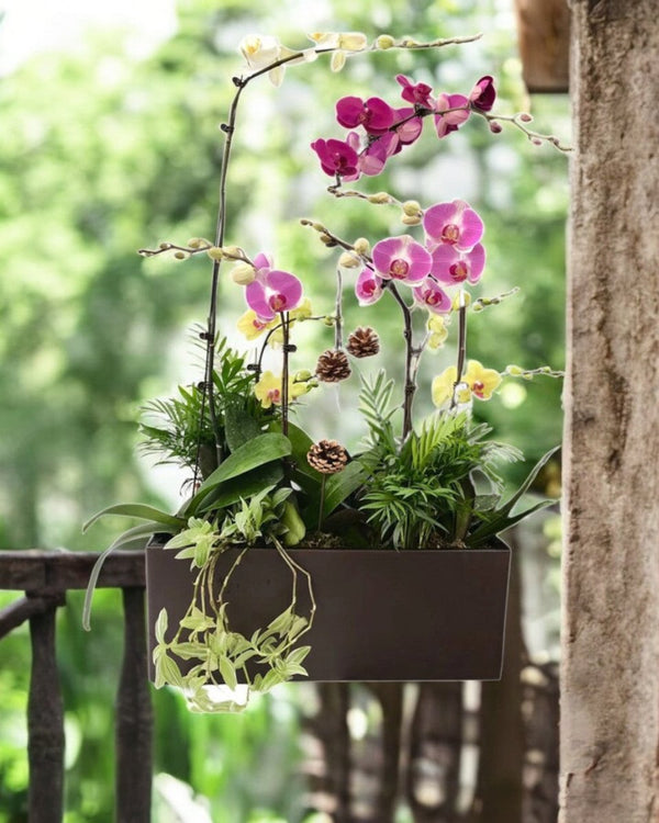 Viva HydroEase Planter Box - Pots - 4332965747708 - Tumbleweed Plants - Online Plant Delivery Singapore