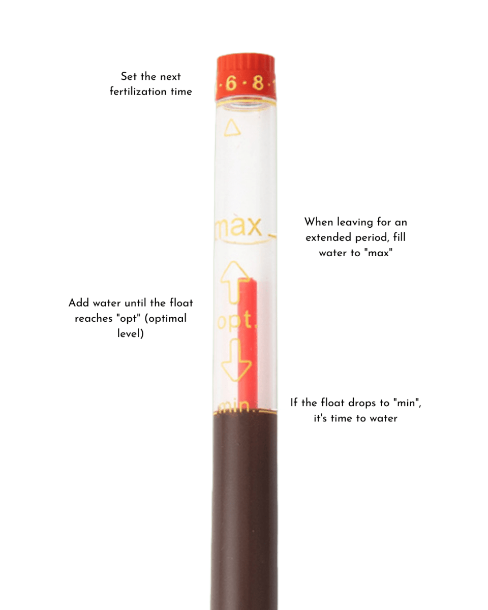 Viva HydroEase Planter Box - Pots - 4332965747708 - Tumbleweed Plants - Online Plant Delivery Singapore