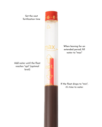 Viva HydroEase Planter Box - Pots - 4332965747708 - Tumbleweed Plants - Online Plant Delivery Singapore