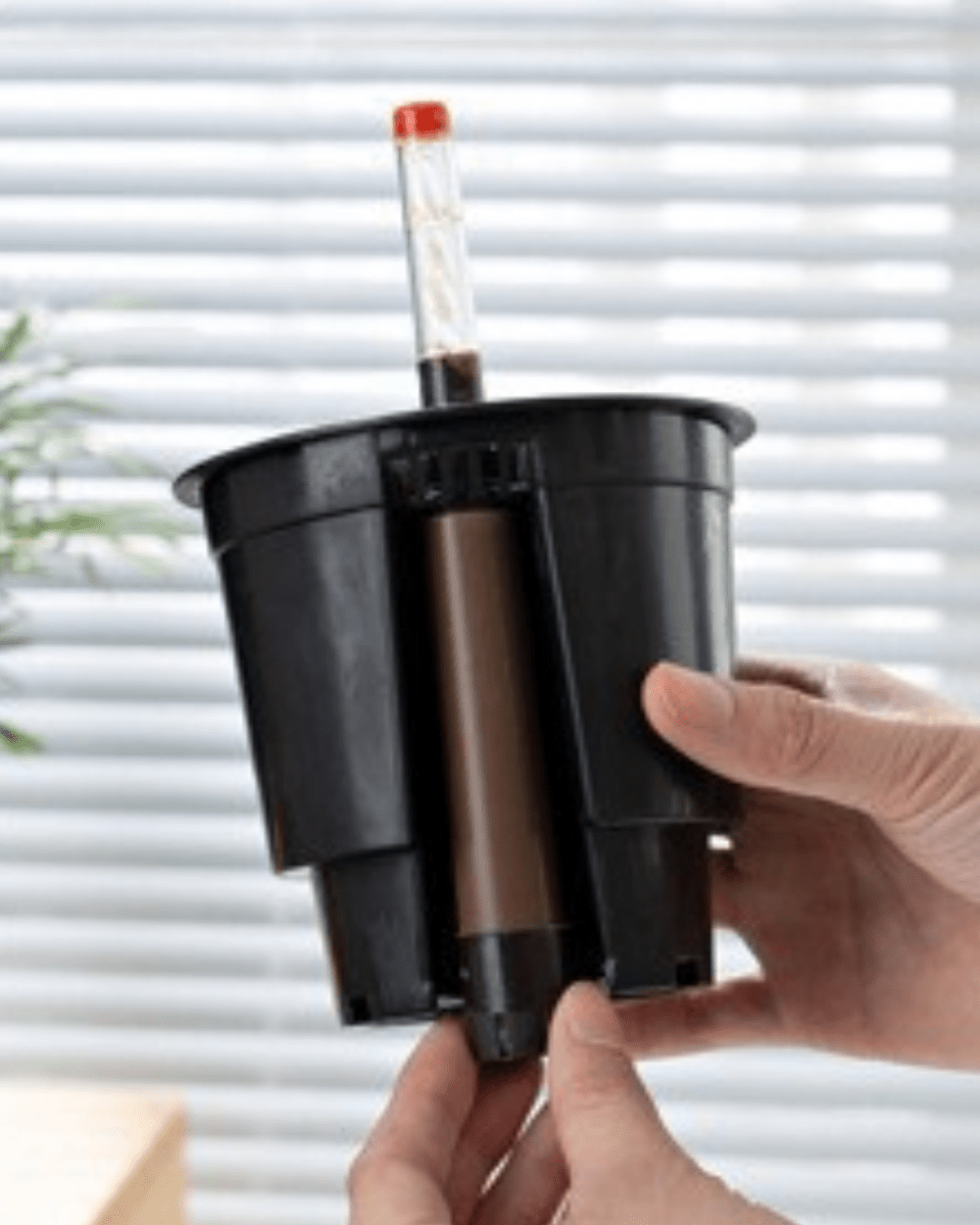 Viva HydroEase Pot - Small - Pots - 5695355583702 - Tumbleweed Plants - Online Plant Delivery Singapore