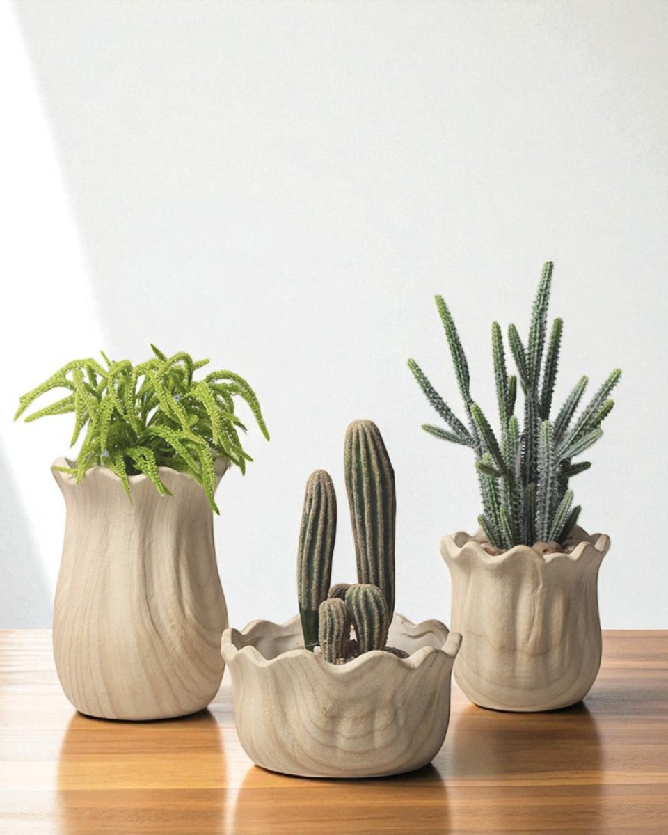 Woodland Planter - Planter - 5820616544344 - Tumbleweed Plants - Online Plant Delivery Singapore