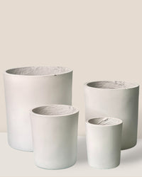 XL Aurora Clay Pot - black - Pot - Tumbleweed Plants - Online Plant Delivery Singapore