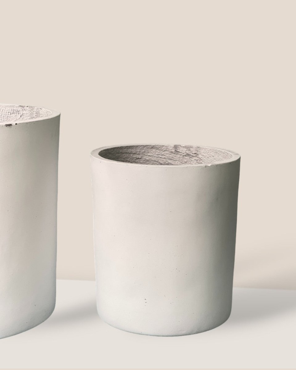 XL Aurora Clay Pot - white - Pot - Tumbleweed Plants - Online Plant Delivery Singapore