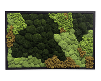 XL Frame - Preserved Plants: MOSS. - Moss Frame - 5825149680725 - Tumbleweed Plants - Online Plant Delivery Singapore