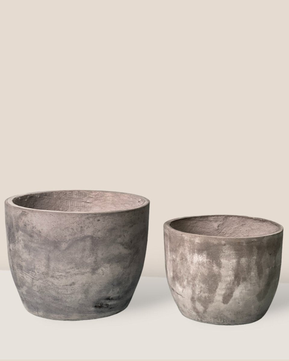 XL Lyra Buy Pot Online Tumbleweed Plants