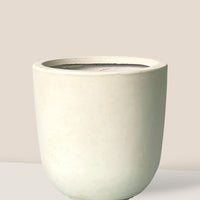 Zeni Planter XL