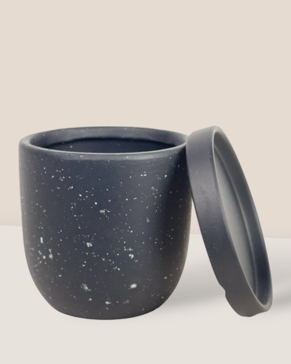 XS Eloise with Tray - black - Pot - Tumbleweed Plants - Online Plant Delivery Singapore