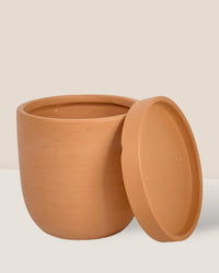 XS Eloise with Tray - brown - Pot - Tumbleweed Plants - Online Plant Delivery Singapore