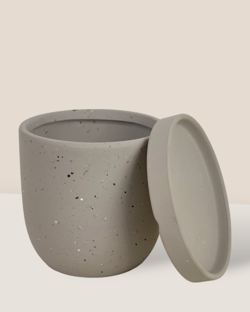 XS Eloise with Tray - grey - Pot - Tumbleweed Plants - Online Plant Delivery Singapore