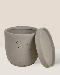 XS Eloise with Tray - grey - Pot - Tumbleweed Plants - Online Plant Delivery Singapore