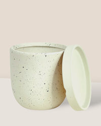 XS Eloise with Tray - white - Pot - Tumbleweed Plants - Online Plant Delivery Singapore