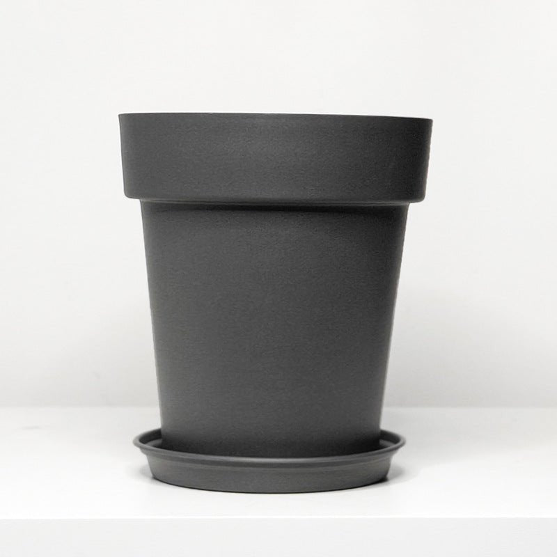 XXL GAL Plastic Pots - Pots - 5448654919107 - 01 - Tumbleweed Plants - Online Plant Delivery Singapore