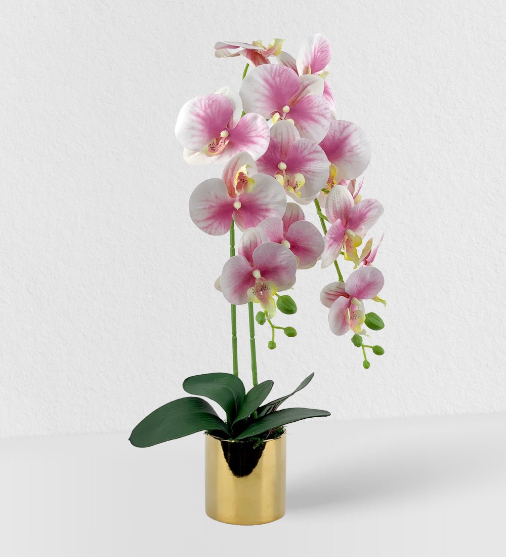 Artificial Crown Phalaenopsis - Gifting plant - Tumbleweed Plants - Online Plant Delivery Singapore