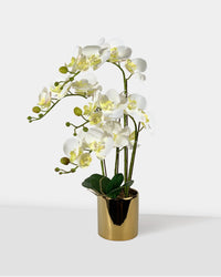 Artificial Crown Phalaenopsis - white - Gifting plant - Tumbleweed Plants - Online Plant Delivery Singapore