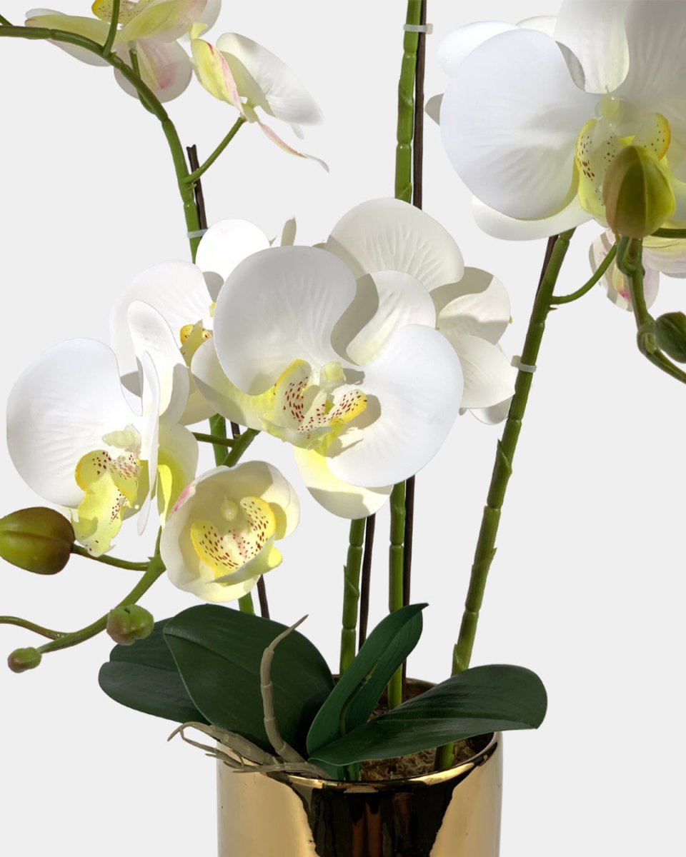 Artificial Crown Phalaenopsis - coral - Gifting plant - Tumbleweed Plants - Online Plant Delivery Singapore