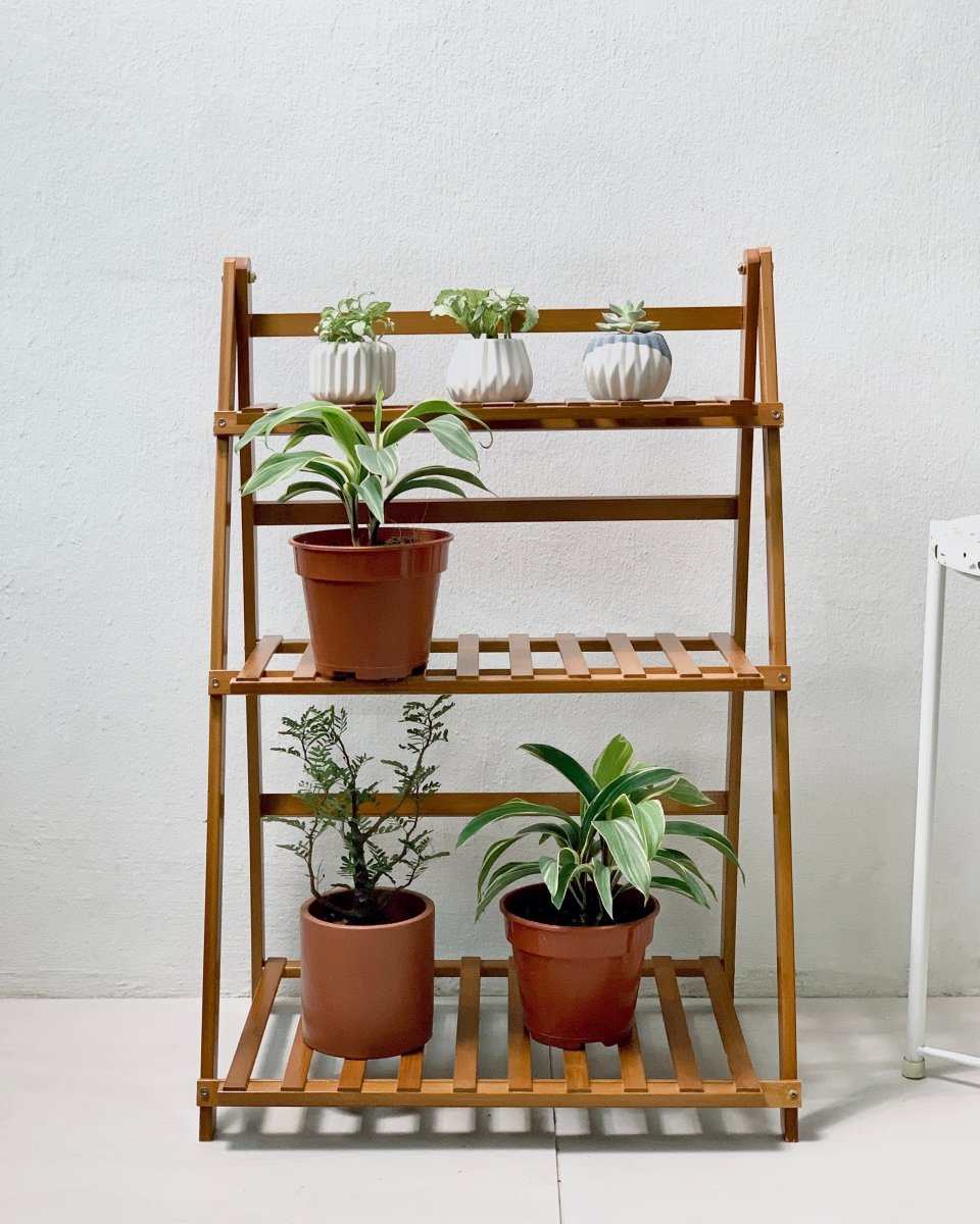 Bansey Foldable Plant Rack