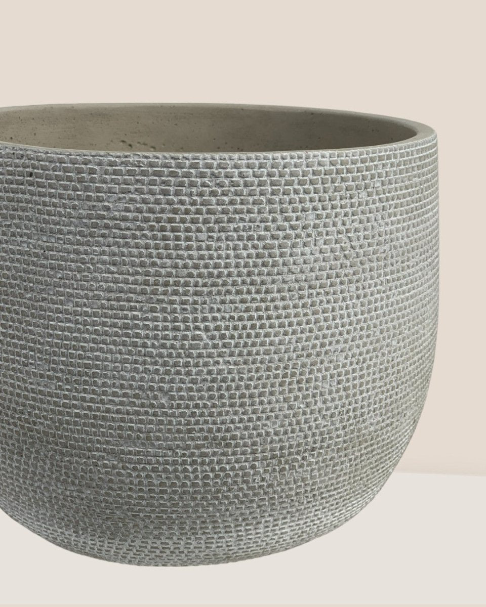 Bauble Planter - Pearl White - Pot - Tumbleweed Plants - Online Plant Delivery Singapore