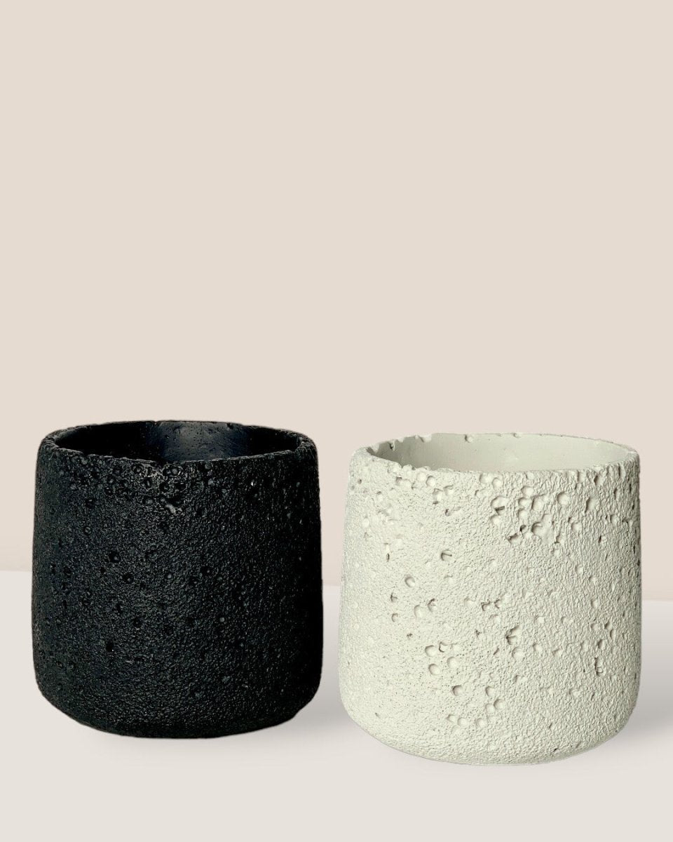 Coarse Cylinder Planter - black - Pot - Tumbleweed Plants - Online Plant Delivery Singapore
