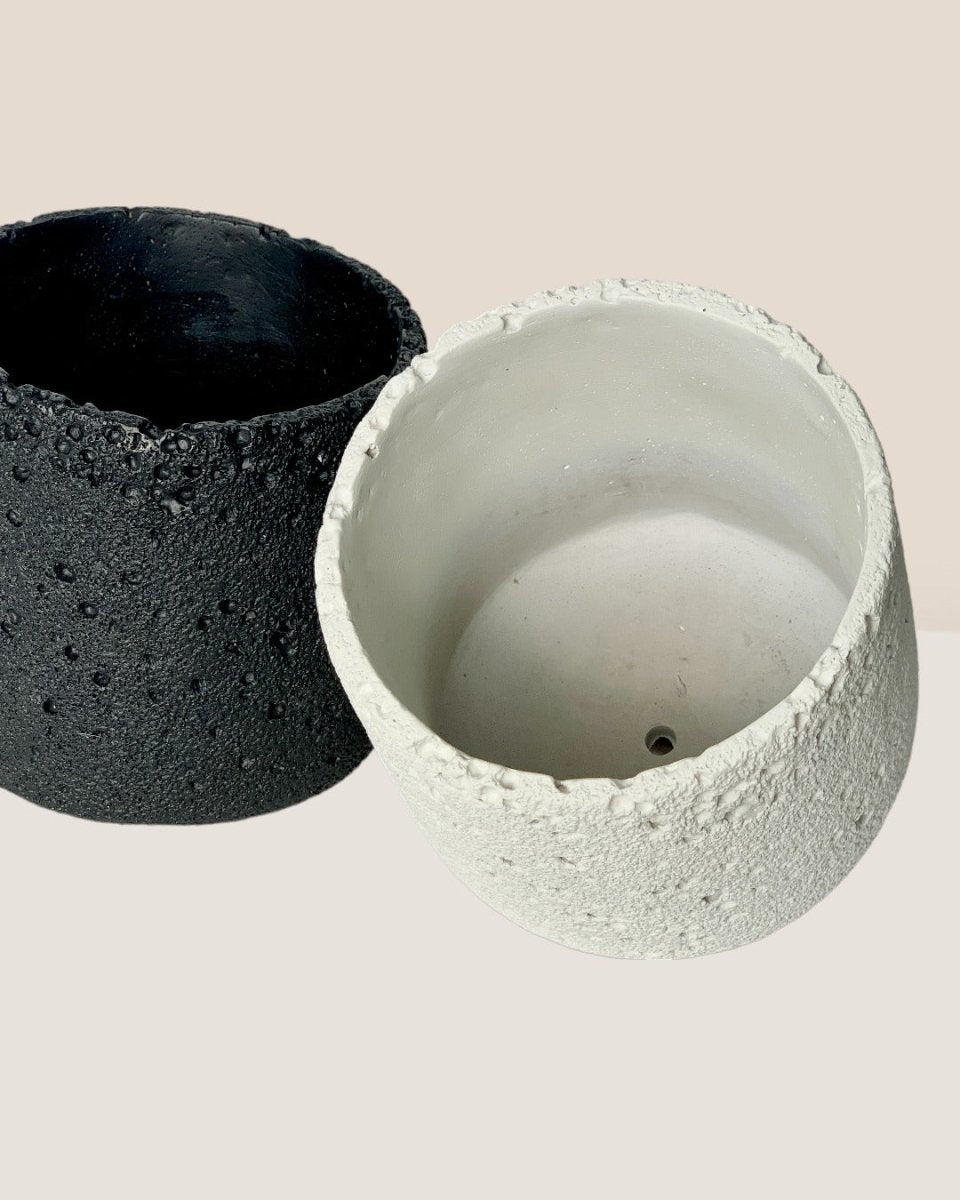 Coarse Cylinder Planter - black - Pot - Tumbleweed Plants - Online Plant Delivery Singapore