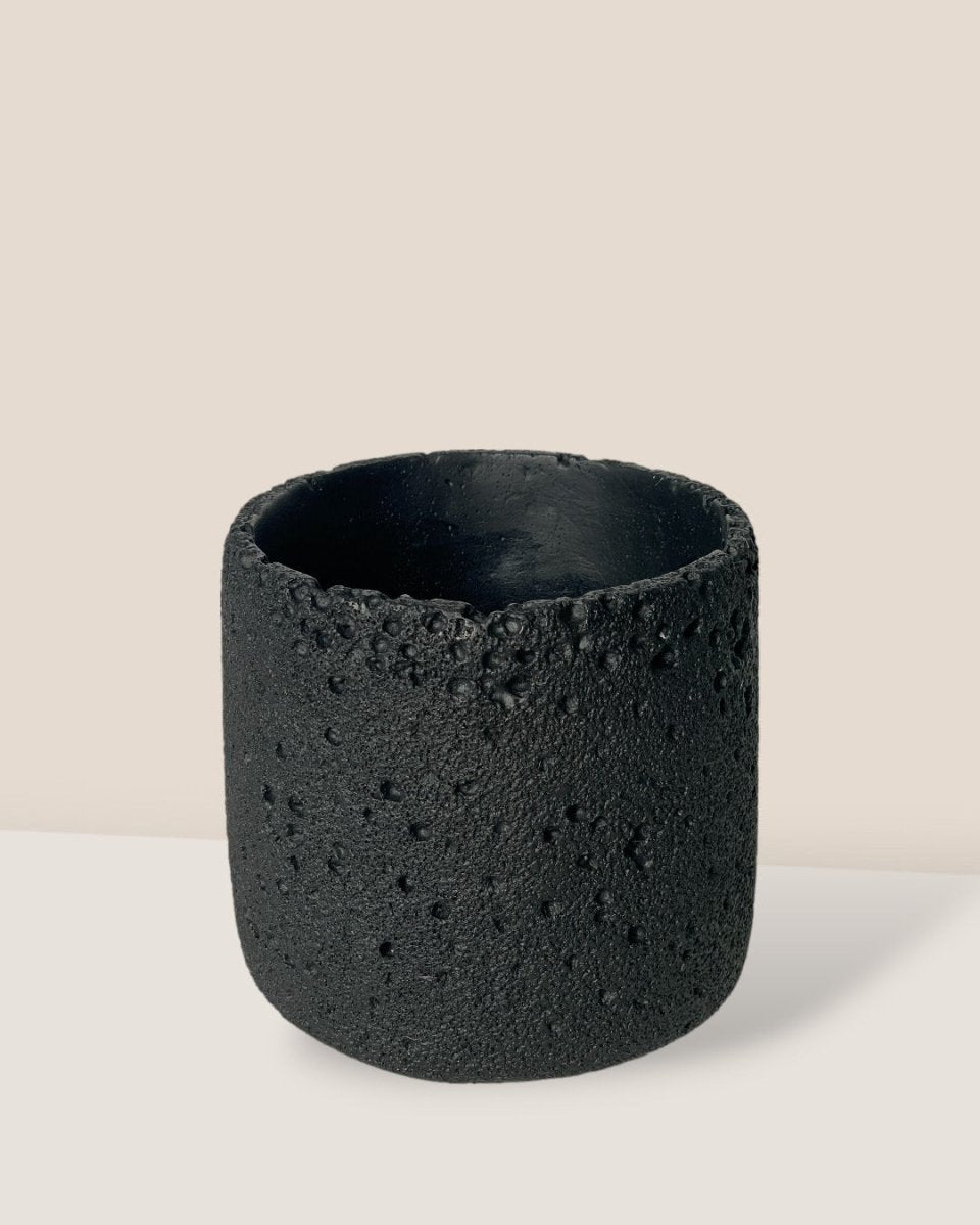 Coarse Cylinder Planter - black - Pot - Tumbleweed Plants - Online Plant Delivery Singapore