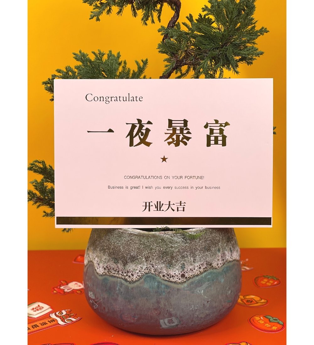 Congratulatory / Grand Opening Greeting Card - Congratulation on your fortune (blush) - Add Ons - Tumbleweed Plants - Online Plant Delivery Singapore