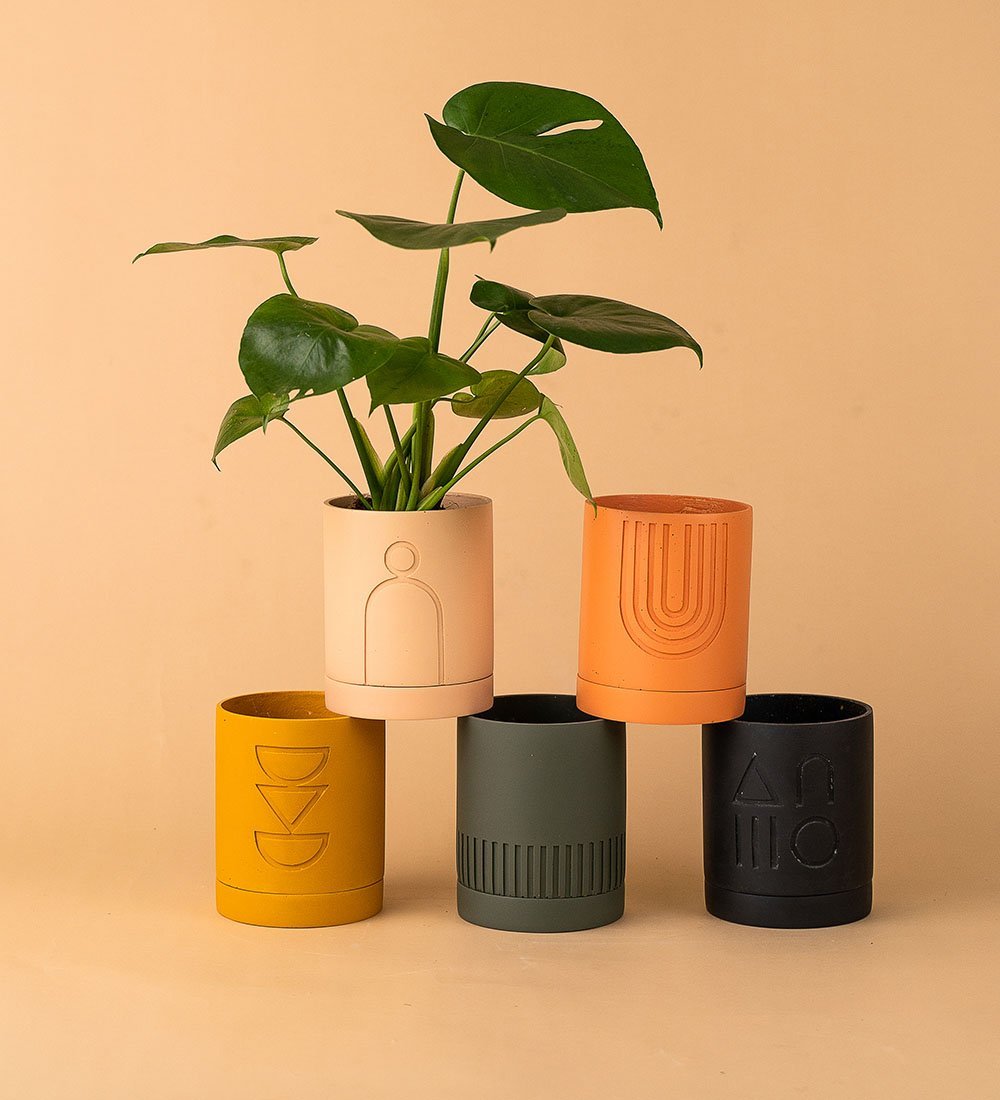 pots for plants singapore Capra Designs Etch Pots - Buy Singapore