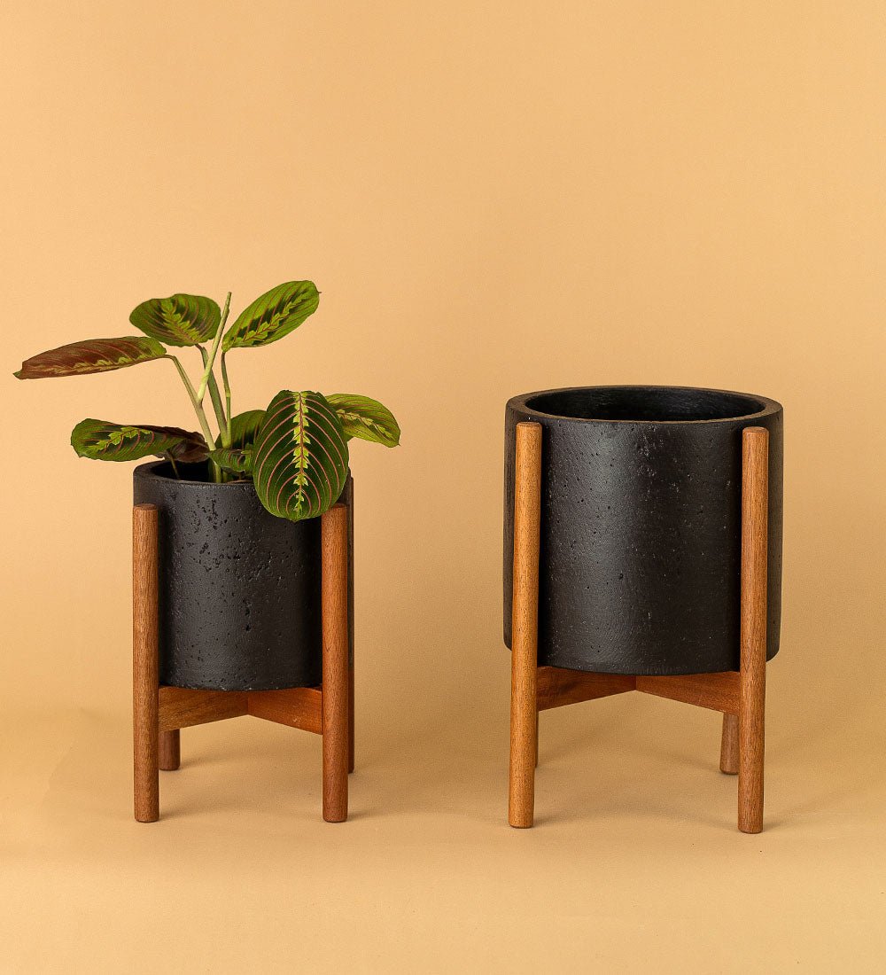 Mid Century Plant Stands - white - Stand - Tumbleweed Plants - Online Plant Delivery Singapore